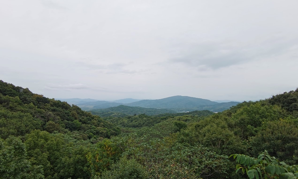 1694825493164821.jpg 1694825493164821.jpg